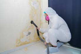 Mold Remediation for Rental Properties in Beverly Hills, MI